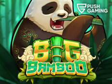 Bingo slots casino. Company casino.51